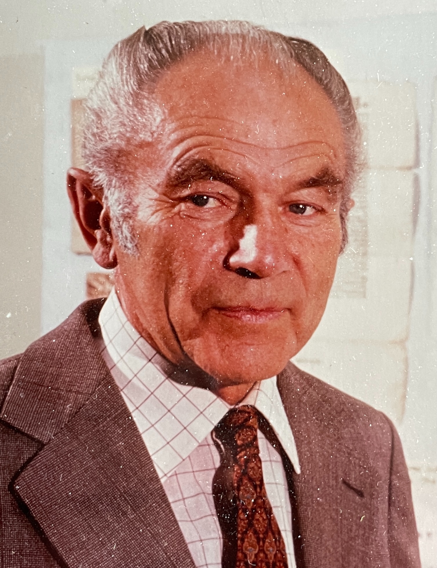 Bild von Franz Liebl mit Krawatte, Sakko und Hemd